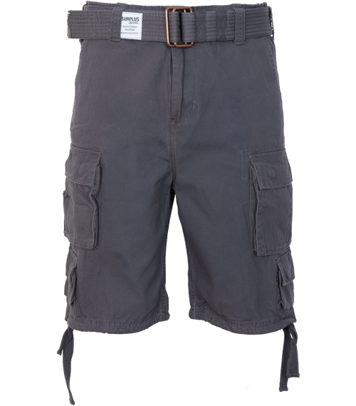 Kalhoty krátké Division Shorts